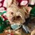Rebecca Hendrickson's profile image