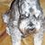 Debbie Green's profile image