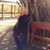 Margie Noble's profile image