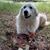 Sally Burleson's profile image