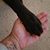 Jennifer Mucci-Cruz's profile image