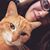 Mary Elizabeth Cook's profile image