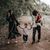 Linzi Wiles Trull's profile image