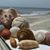 Sharon L Clark-Yurcina's profile image