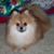 Char Finco Spink's profile image
