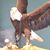 Baretta Splawn's profile image