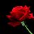 Cynthia Mcfadden's profile image