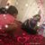 Manuel N Alexia's profile image