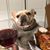 Casey Thomas's profile image