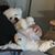 Judith Conners's profile image