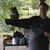 Shina Jo McClain Chitwood's profile image
