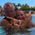 Kim Edens Weisner's profile image