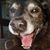 Sherrie Kay's profile image