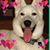 Terri Flowers Patsel's profile image