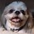 Jerry L Johnson's profile image