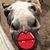 Janet Surratt Baw's profile image