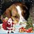 Gerrit Klijnhout's profile image