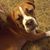 Diane Gronwaldt's profile image