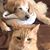 Gary Fons's profile image