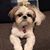 Valerie Skelton's profile image