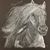 Tammy Marshall Cardwell's profile image
