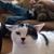 Frances Takacs's profile image