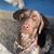 Jamie Thomas-Hubiak's profile image