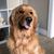 Andrew Pulka's profile image