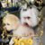 Lynn Harrop's profile image