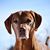 Brandee Jasperson Bobzin's profile image