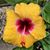 Cathe Kirby Wingler's profile image