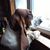 Krystal Wigal's profile image