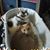 Dawn Albers's profile image