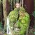 Kian Masoumi's profile image