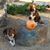 Joani Dirickx Bailey's profile image