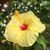 Donna Cantrell's profile image
