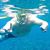 Steve Bargelt's profile image