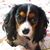 Silvy Paw Lupone's profile image