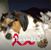 Rose Thompson's profile image