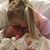 Deborah Thomas Saylor's profile image