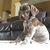 Michael Lochard's profile image