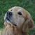 Jeanne Katz's profile image