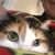 Jessica Huff's profile image