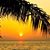 Pamela O'Shea's profile image
