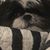 Nancy Reece's profile image