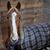Don Garris's profile image