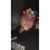 Sean David Stamp's profile image