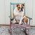 Denny Bouse's profile image