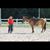 Janelle Smalley's profile image