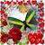 Luci Kuykendall's profile image